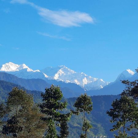 Red Panda Jungle Camp - A Unit Of Davinchi Homes Pvt Ltd Gyalshing Exterior foto