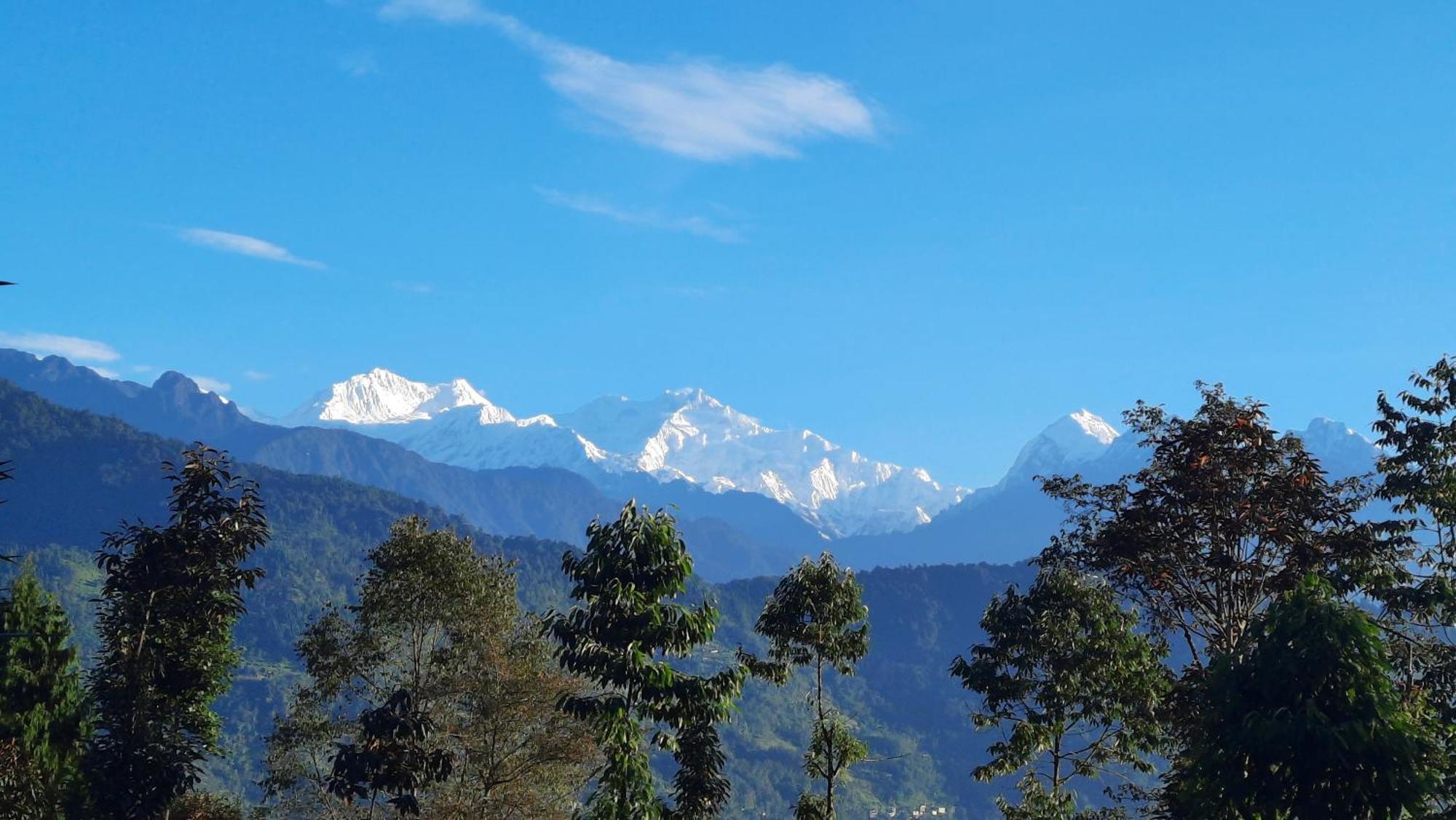 Red Panda Jungle Camp - A Unit Of Davinchi Homes Pvt Ltd Gyalshing Exterior foto